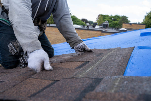 Best Metal Roofing Contractor  in Roland, OK