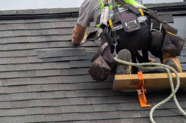Roof Gutter Cleaning in Roland, OK