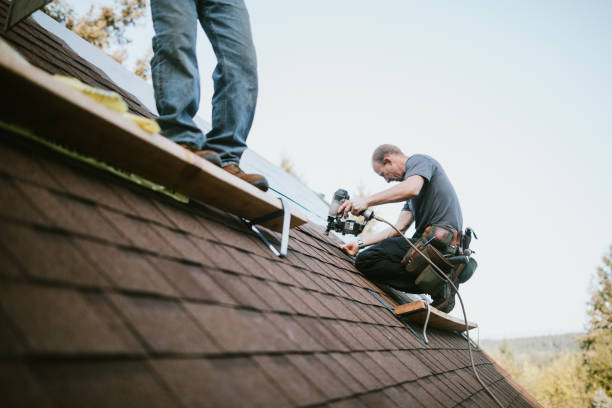 Best Roof Gutter Cleaning  in Roland, OK